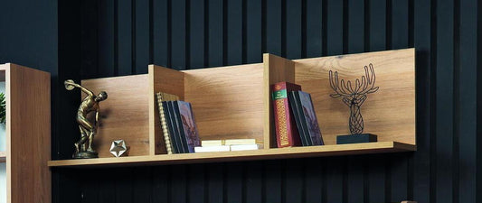 Raft pentru birou Stejar inchis