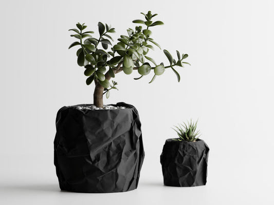 Екологични декорации с Decorco: Красота и устойчивост за вашия дом 🌍💚