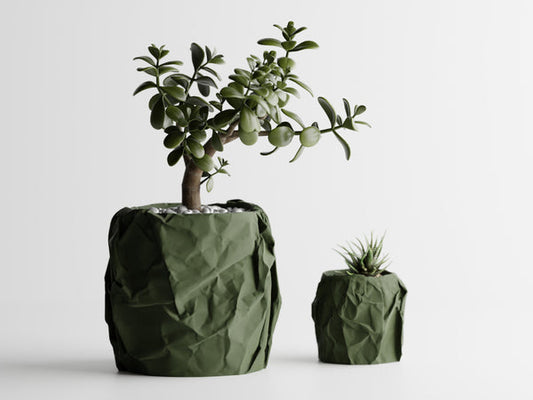 🌿 Екологичен уют: Как PLA променя декорацията с Decorco 🌿
