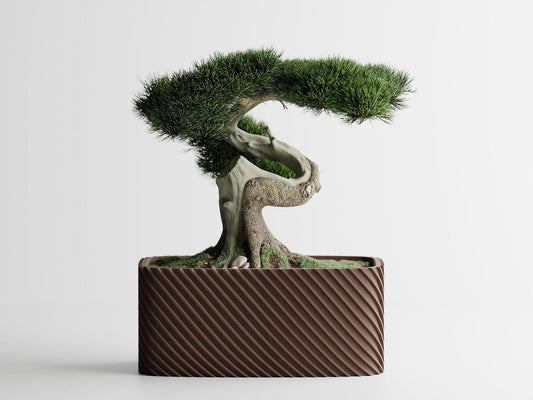 Кашпа "Бонзай" -Кафяв