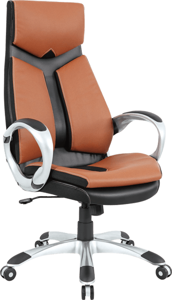 Scaun de birou model S1013